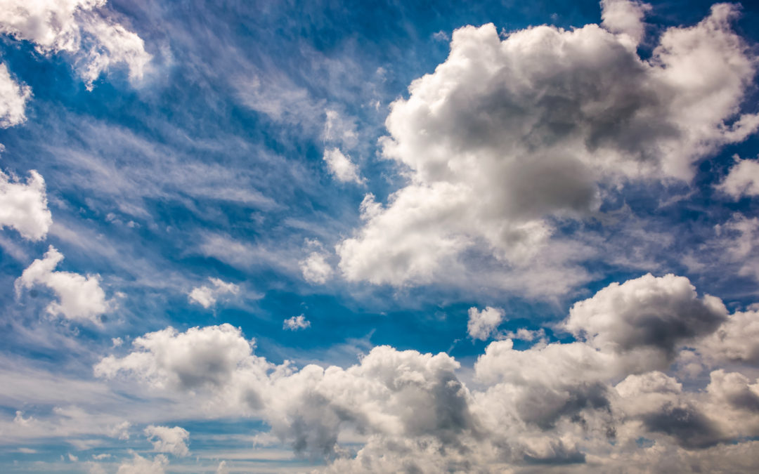 Investment outlook shaped by extraordinary economic and political environment