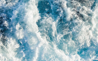 Extraordinary cross currents and concentrated rally encourage press up in quality