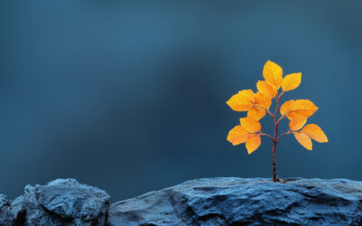 Navigating higher uncertainty with greater strength